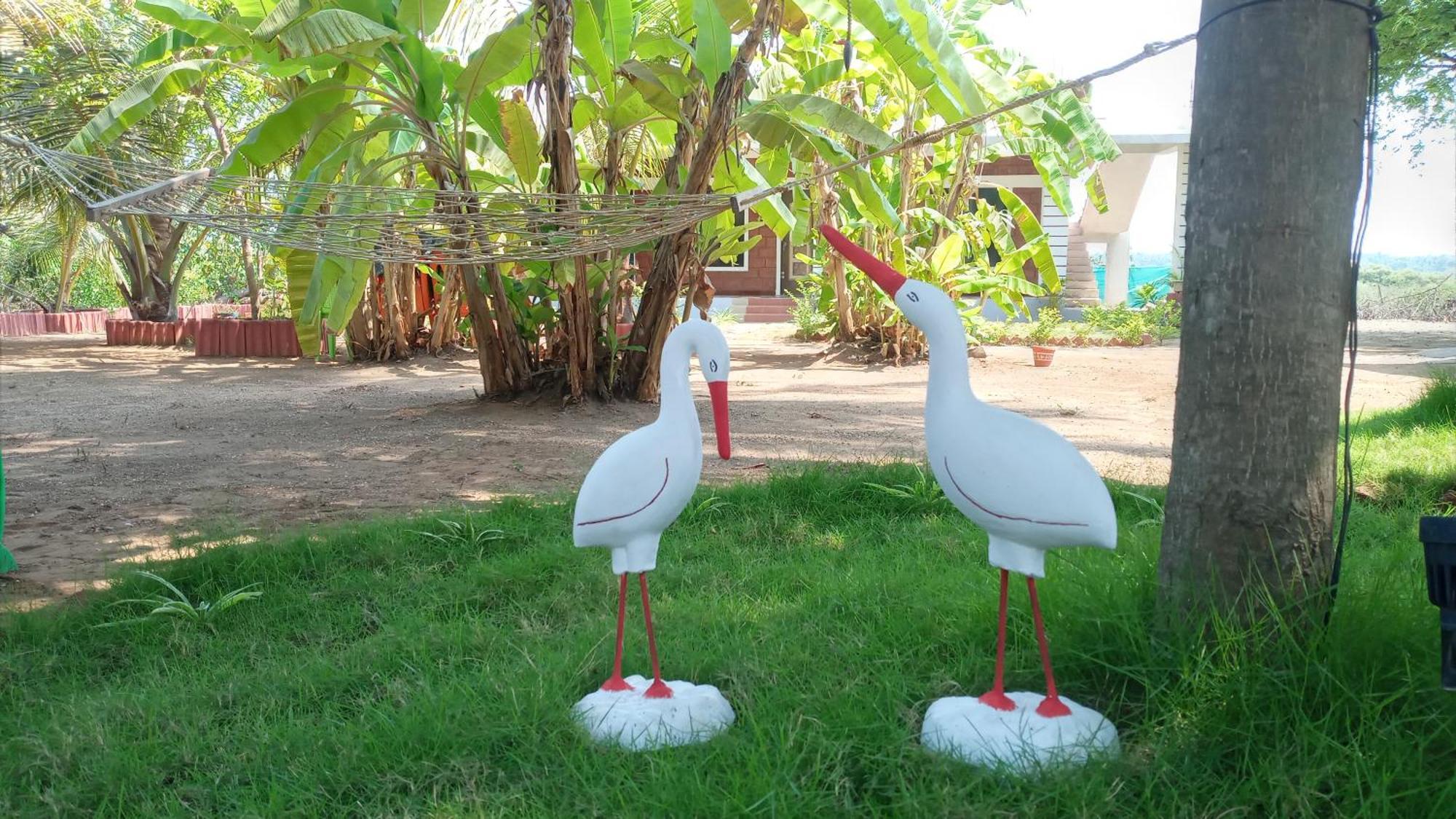 Coconut Village Resort อลีบาก ภายนอก รูปภาพ