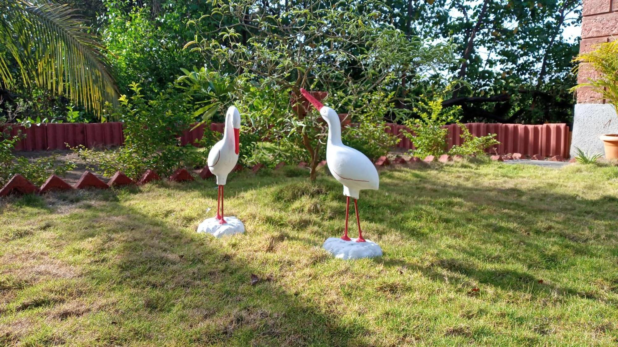 Coconut Village Resort อลีบาก ภายนอก รูปภาพ
